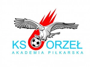 AP-Orzeł-logo-300x225